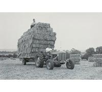 Garden Market Place Massey Ferguson MF35 Tractor with a Trailer of Straw Canvas Picture Print