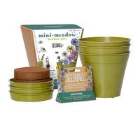 Garden Meadow Seedball & Pots Set