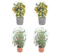 Garden Mesh Netting for Plants, 4 Pack Insect Bird Barrier Netting Mesh with Drawstring, 3.3x2.6 FT / 100x80cm Garden Bug Netting Plant Cover for Protect Fruit Tree Vegetable Flower