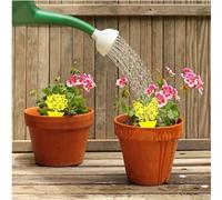 Garden Mile 10Pcs Yellow Sticky Fly Trap Paper Stickers Fruit Fly Traps Indoor for Home Non Toxic Safer Sticky Outdoor Flies Trap Tape Garden Plants House Plant Flies Catchers Fly Paper for Indoors