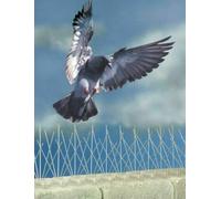 Garden Mile 1m Fence & Wall Spikes Outdoor Garden Pest Control Repellent Window Cornice Galvanized Steel Plastic Hard wearing Strong Stable (x 3)