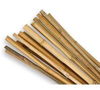 Garden Mile 20 x Bamboo Canes 60cm/2ft Gardeners Stakes Strong Durable Heavy Duty Outdoor Garden Cane Accessory Plant Support Flexible Poles Multi-Use Patio Yard (Pack of 20)