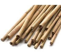 Garden Mile 20pc 2ft Bamboo Canes Climbing Plant Support Sticks For Outdoors Heavy Duty 60cm Bamboo Sticks For Sunflower Runner Bean Tomato Plant Support Ideal For Greenhouse Canes For Tomato Plants
