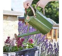 Garden Mile 4.5L Sage Green Metal Watering Can Outdoor Rust-resistant Galvanised Watering Can With Handle And Detachable Rose All Year Round Garden Plant Waterer Made From Steel
