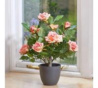 Garden Mile 40cm Artificial Rose Plant, Pink