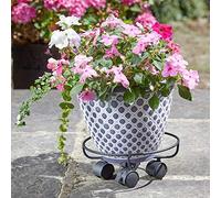 Garden Mile Plant Pot Caddy Stand with Wheels 25cm Garden Outdoor Patio Plant Stand Rollers Saucer Tray Trolley Heavy Duty Metal Plant Dolly Plant Supports for Outdoor and Indoor Plants
