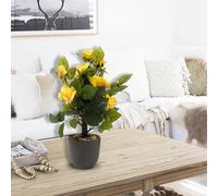 Garden Mile Artificial Regent's Rose Potted Plant or Tree Free Standing Faux Flowers for Home Garden Decorative Faux Foliage Indoor Outdoor Décor Rose Bush Weather Resistant (40cm - Sunshine Yellow)