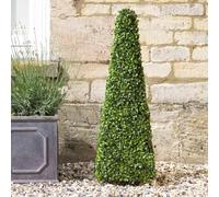 Garden Mile Artificial Topiary Boxwood Obelisk Tree, Stylish Boxwood Plant, Faux Shrubbery for your Garden Outdoor Area Patio or Lounge or Conservatory (Single Topiary Obelisk)