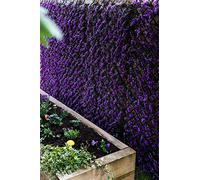 Garden Mile Violet Screening Panel Fence Privacy Screen for Garden Artificial Trellis Living Wall Panel Topiary Expandable Climbing Plant Panel 180x90cm