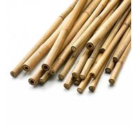 Garden Mile Bamboo Canes 120cm, Pack of 20 Garden Plant Sticks | 120cm bamboo garden canes for supporting plants, flowers, fruit trees and protective frames - pack of 20 sturdy plant stakes