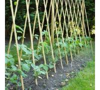 Garden Mile Bamboo Canes 150cm, 10 Pack Plant Support Sticks | Bamboo Garden Stakes for Climbing Plants, Flowers, Vegetables and Young Trees - Natural Plant Support for Pots and Borders