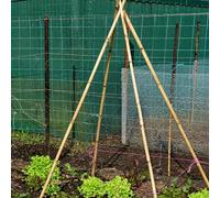 Garden Mile Bamboo Canes 90cm, 20 Pack Plant Support Sticks | Bamboo Garden Stakes for Plants, Flowers, Seedlings and Vegetables - Natural Plant Supports for Pots, Borders and Greenhouses