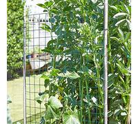 Garden Mile® Galvanised Weld Mesh Panel Various Sizes Steel Grid Sheet Panels Welded Square Mesh (50mm, 0.6 x 0.9m)