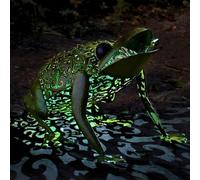 Garden mile® Solar Powered Light Up Frog Copper Bronze Effect Metal Silhouette Garden Animal Sculptures Colour Changing Lights LED Lights Stunning Versatile Garden Ornaments Decoration
