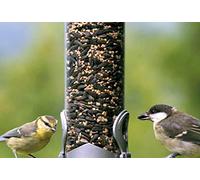 Garden Mile Metal Bird Feeder for Small Birds Hanging Bird Feeders for Wild Birds Perfect For Outdoors Patio Garden Peanuts Nuts Feeder