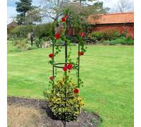 Garden Mile Obelisk Large Metal Strong Tubular Plant Cage for Garden Decoration - Heavy Duty Climbing Plants Support Structure for Ivy, Clematis, Roses and Other Climbing Flowers - (2M, Single)