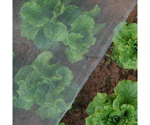 Garden Netting for Veg Patch Fine Mesh, 2.4x7.2m 20GSM Insect Protection Net, Vegetable Protection Net Butterfly Netting for Plant Fruit Carrot fly Crop Protect Anti Bug Pest