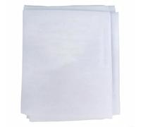 Garden Netting Mesh Insect Net,Butterfly Netting For Patch Fine Mesh Anti Bird Barrier For Plants Vegetables Flower Pots 2.4x10m(White)