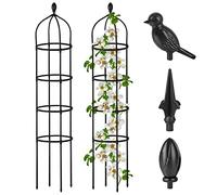 Garden Obelisk Trellis for Climbing Plants Outdoor 6 Ft Rose Bush Round Trellis for Pots Rustproof Metal Plant Flower Trellises for Clematis Vine Jasmine Support Outdoor Indoor