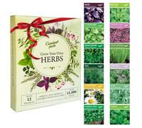 Garden Pack Herb Seeds for Planting & Outdoors, 12 Varieties, 15000 Heirloom Seeds Multipack Ready to Grow Starter Kit to Grow Aromatic Basil, Corian