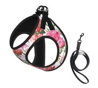 Garden Peony Print Step in Dog Harness and Leash Set,Mesh Pet Vest Harness for Small Dogs and Cats