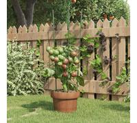 (21.5 x 60 cm) vidaXL 5x Garden Plant Supports with 4 Rings Green Steel Stake Multi Sizes