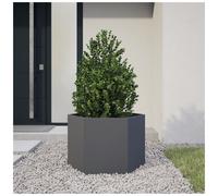 vidaXL Garden Planter, Plant Pot for Patio Balcony Terrace, Flower Pot for Flower Herb Plant, Outdoor Planter Box, Anthracite Hexagon Steel