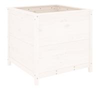 Garden Planter Raised Bed Flower Box Pot White Solid Wood Pine vidaXL