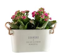 Garden Planters Outdoor and Indoor - Engraved Grandad's Garden Long Plant Pots Outdoor | Mum, Dad, Anniversary, Father's Day, Nan Gifts for Birthday Garden Pots and Planters | Dust and Things