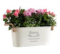 Garden Planters Outdoor and Indoor - Engraved Granny's Garden Long Plant Pots Outdoor | Mum, Dad, Anniversary, Grandad and Nan Gifts for Birthday Garden Pots and Planters | Dust and Things