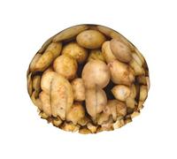 Garden Potatoes Print Lightweight Shower Cap for Women and Men Reusable hat Soft hat and Bath Hair Cap