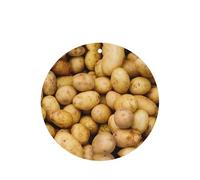 Garden Potatoes Printing Fashion Car Air Freshener Cards 10 Pcs Car Scented Hanging Sheets