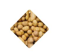 Garden Potatoes Printing Fashion Car Air Freshener Cards 10 Pcs Car Scented Hanging Sheets