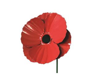 Garden Pride Metal Poppy Decorative Garden Stakes - Pack Of 3