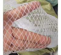 Garden Protection Netting for Plants and Trees, Anti-Bird and Bug Barrier with Durable Mesh, Ideal for Vegetable and Fruit Garden Cover