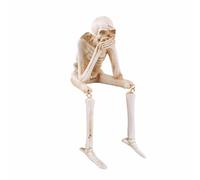 Garden Sculptures & Statues Birds Set of 3 See Speak Hear No Evil Skeleton Halloween Statues Skeleton Collectible Figurines Realistic Decorations for House Halloween Outdoor Garden (B, One Size)