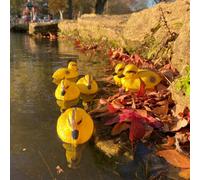 Garden Selections Decorative Plastic Floating Yellow Pond Ducklings (Pack Of 6)