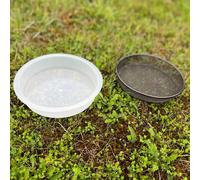 Water Dish & Mesh Seed Dish Set for Bird Feeding Stations