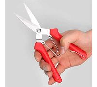 Garden Shears Gardening Shears Garden Shears Pruning Shears Micro-Tip Pruning Pruning Pruners Leaf Pruners Straight Flower Shop Scissors Plants Clippers for The Garden Garden Help Garden Or Lawn