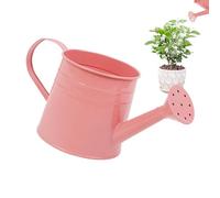 Garden Small Water Spraying Pot, 1L Kettle Watering Can, Miniature Garden Watering Pot, Flower Kettle Metal Watering Can Sprinkled For Indoor Outdoor Plants