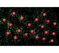 Garden Solar Power Insect Ladybird Bumble Bee 30 Led String Lights Fairy Party (Ladybird)