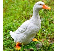 Garden Statues White Duck Statue, Cute Ducks Art Decor, Outdoor Simulation, Pond Ornaments, Decoration, Funny Gifts, for Yard, Home, Garden, Patio, Office
