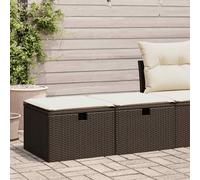 Garden Stool Set 2pc Brown PE Rattan Powder-Coated 55x55x37cm with Storage