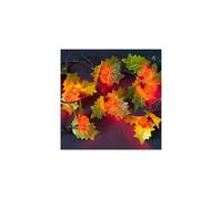 Garden Store Direct 3.6m/12ft Red Holly Berry Indoor & Outdoor 50 Static LED Christmas Holiday Festive Decoration Lights