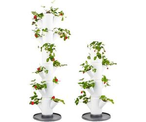 Garden Store Direct Sissi Strawberry Starter Set - Planter/pot/plant Tower/raised Bed For Strawberries - Plant Strawberries And Herbs