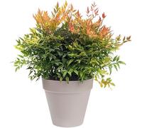 Garden Store Direct Urban Jungle Round Plant Pots - Indoor or Outdoor Use - 5 Sizes, 4 Colours - Made With Recycled Materials (Warm Grey, 22 cm)