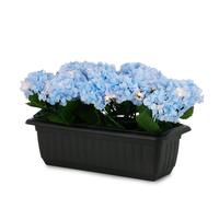 Garden Stories In Bloom Pre-Lit Hydrangea Window Box