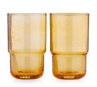 Garden Stories Studio 70 Set of 2 Glass Tumblers