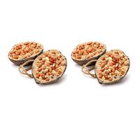 Garden Ting Peanut Coconut Halves Wild Bird Treat Suet, 4 Pack