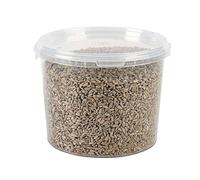 Garden Ting Premium Sunflower Hearts Kernels, Wild Bird Food Tub, 3 Litre
